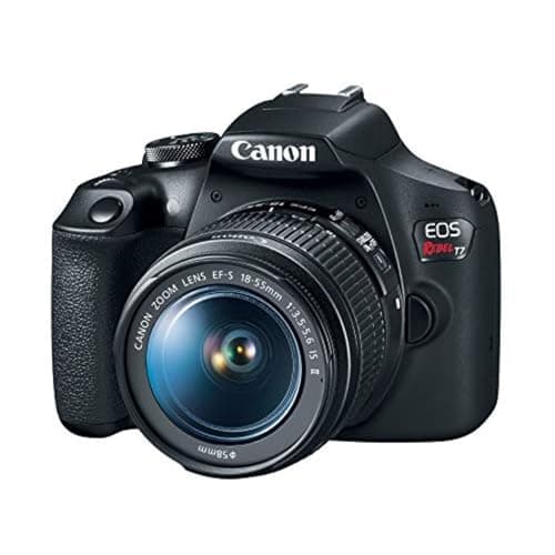 8 Best Mirrorless Camera for Beginners in 2026 — Easy-to-Use Picks That Make Learning Photography Simple