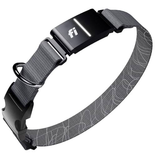 Fi Series 3 vs Halo Collar (2026): Which Should You Actually Buy?