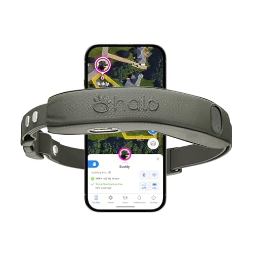 Halo Collar Review (2026): Honest Verdict After Testing