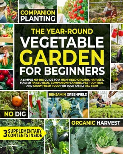 What is How to Start a Vegetable Garden? A Complete 2026 Guide