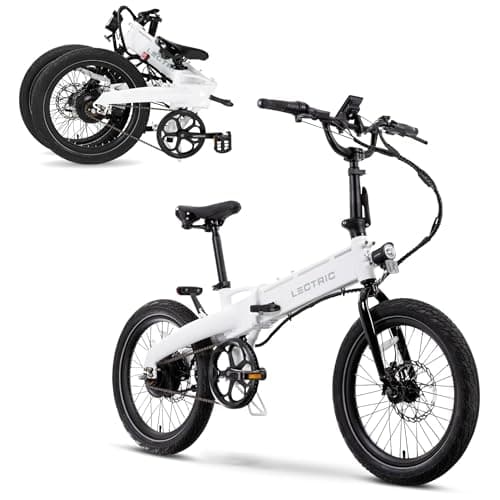 Lectric XP4 750 6 month test Review (2026): Honest Verdict After Testing