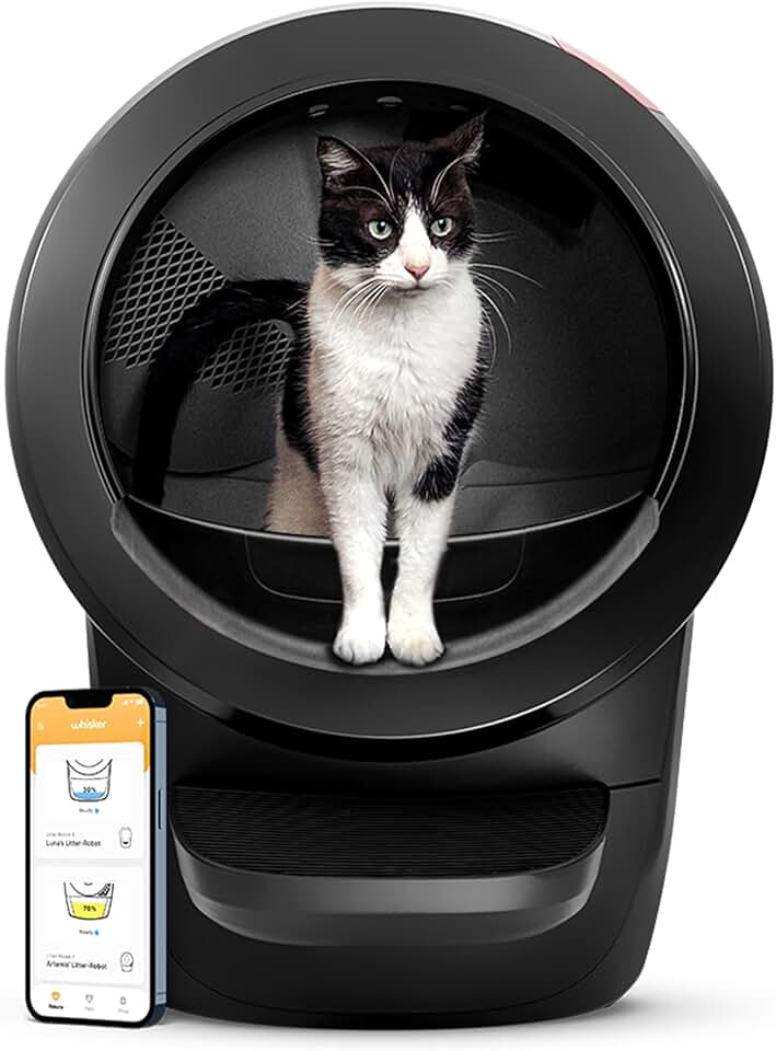Litter-Robot 4 1 Year Review (2026): Honest Verdict After Testing